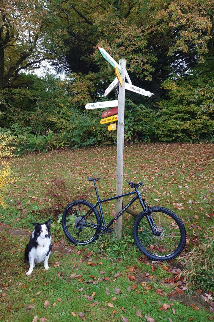 WhatsApp Image 2025-10-20 at 19.16.17_481f50b0.jpg