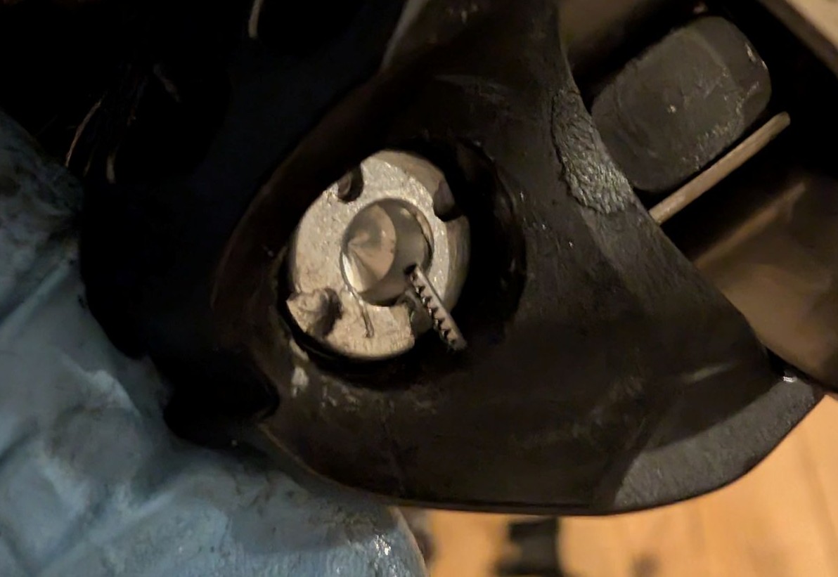 PXL_20250427_203631270 - Copy.jpg