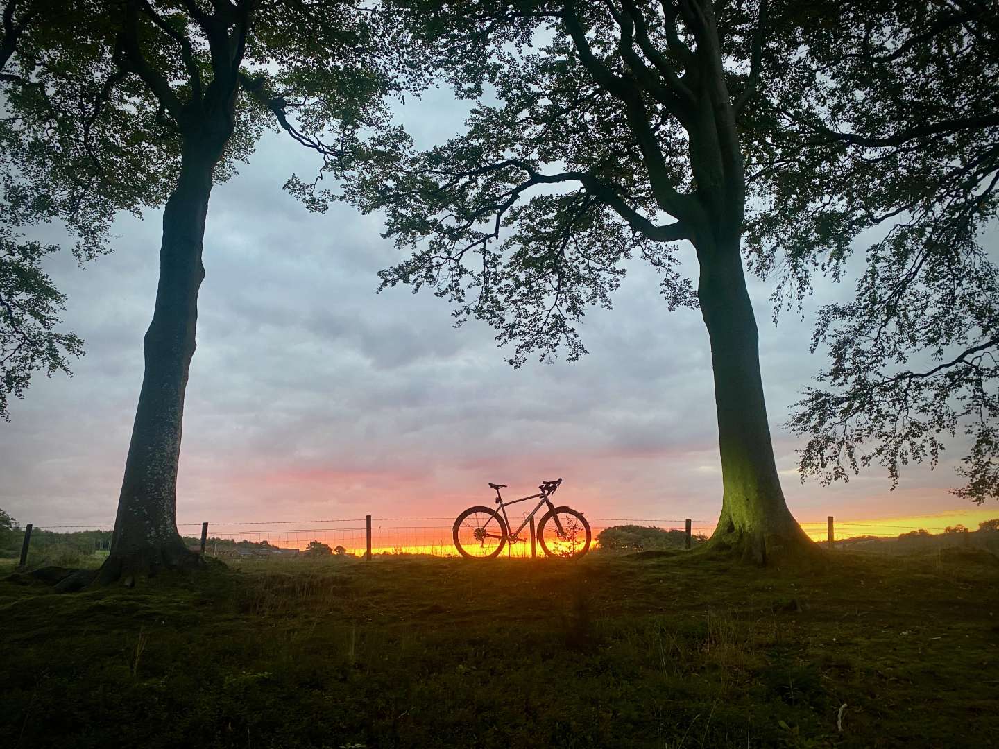 2025-09-25 Sunrise Ride Falkirk Cotic Cascade 00002.jpeg