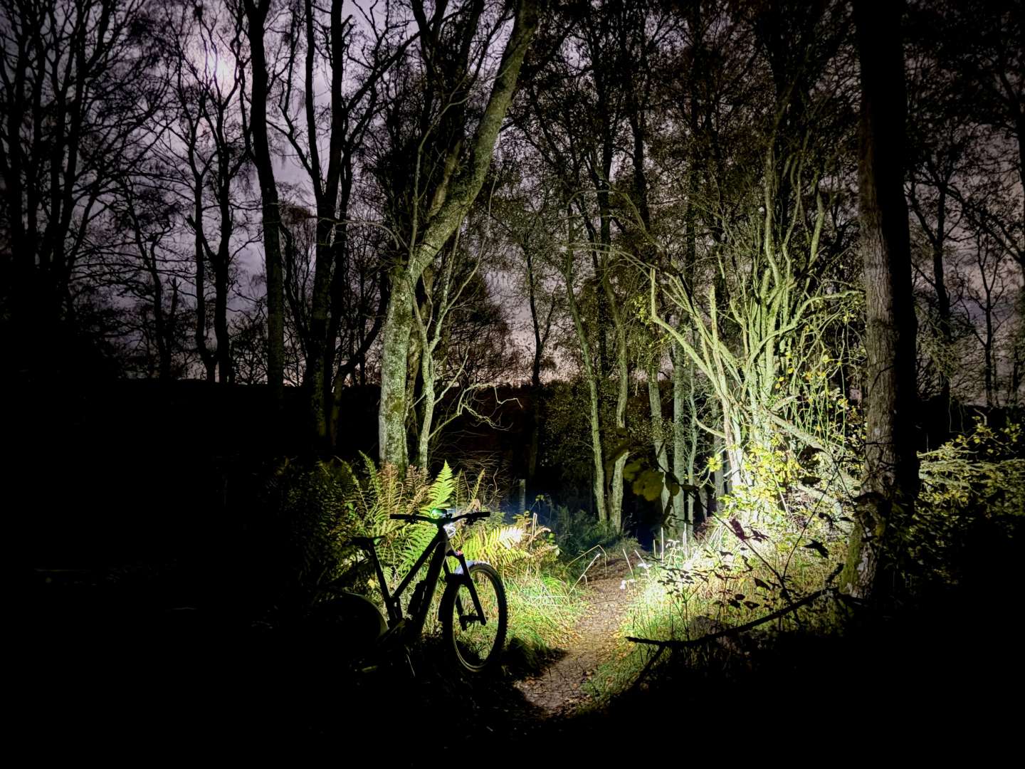 2025-11-04 McBoab Tuesday Kippenrait SC Tallboy.jpeg