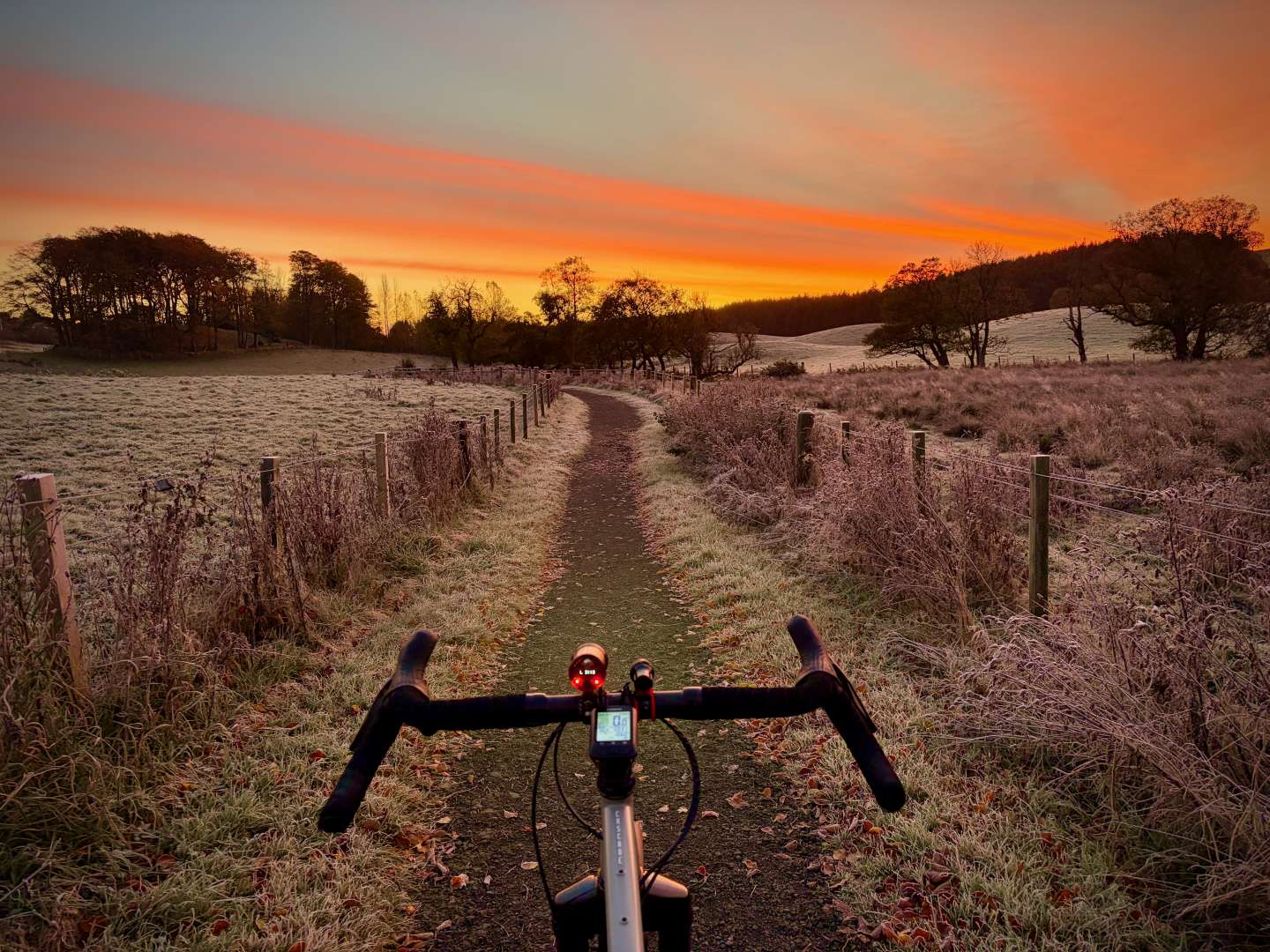 2025-10-30 Callendar Estates pre-sunrise Cotic Cascade frosty 00003.jpeg