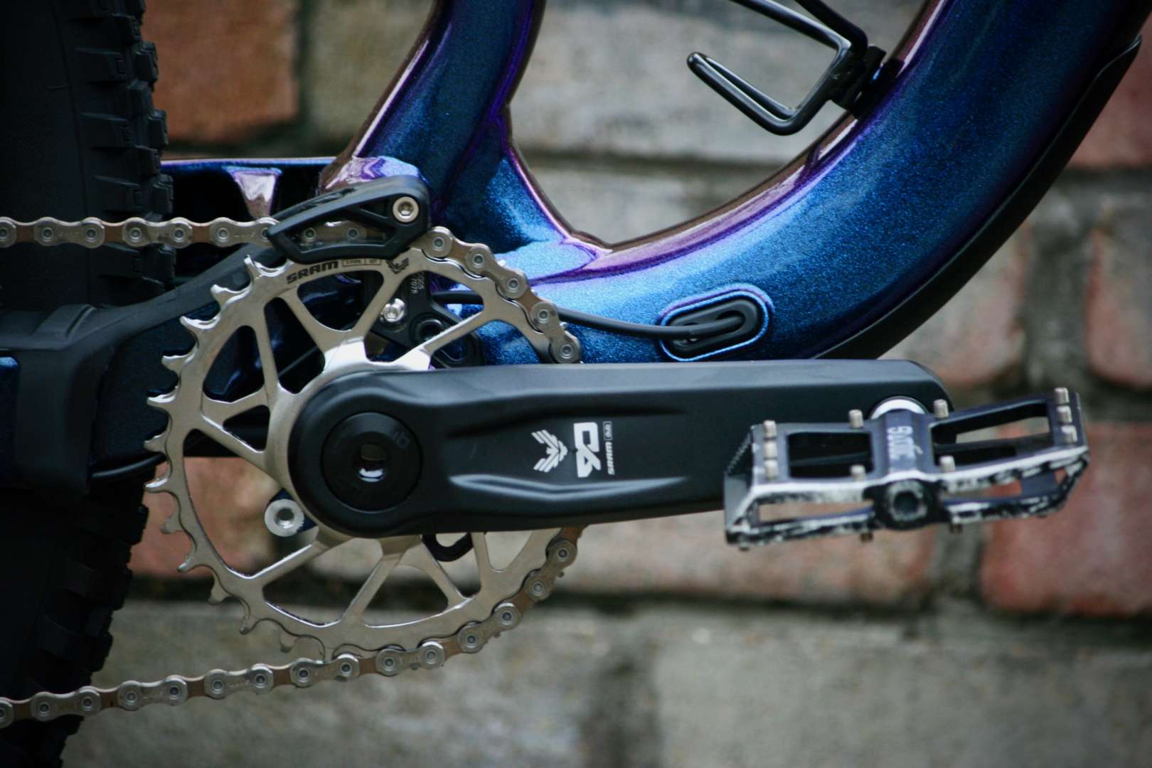 2026-02-15 Cannondale Habit 3s Sophie Scarlett 00015.jpeg