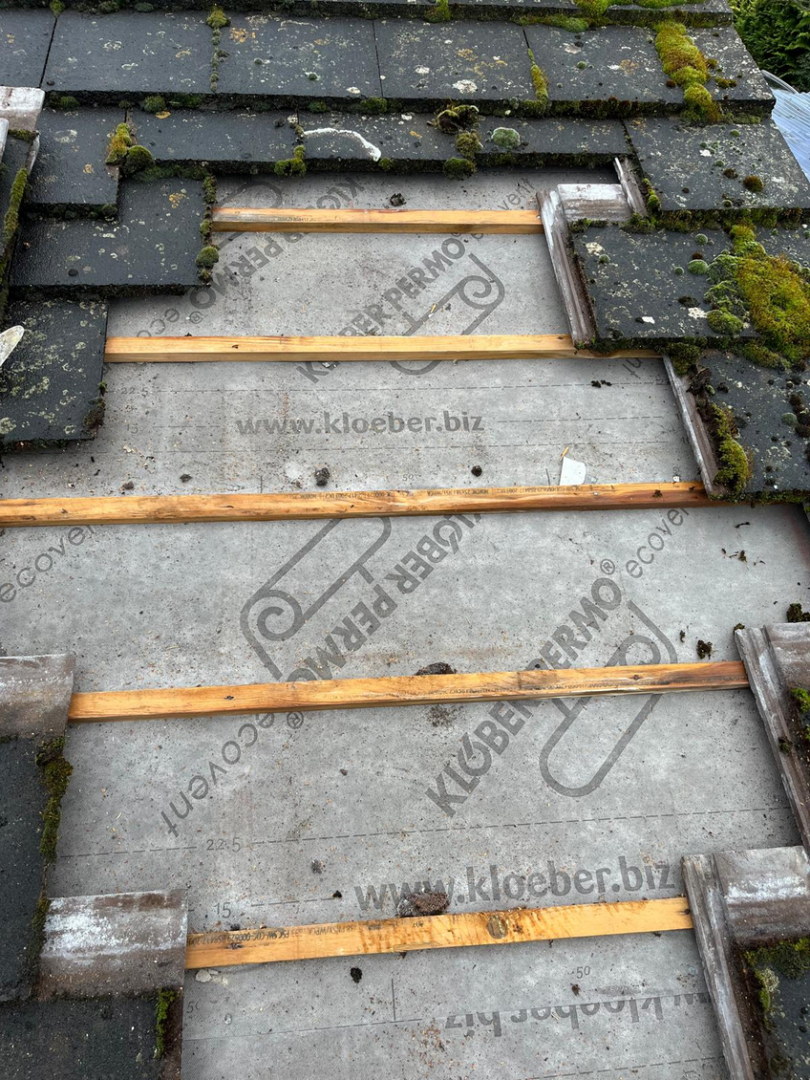 Screenshot 2026-02-10 at 09-06-38 WhatsApp.png