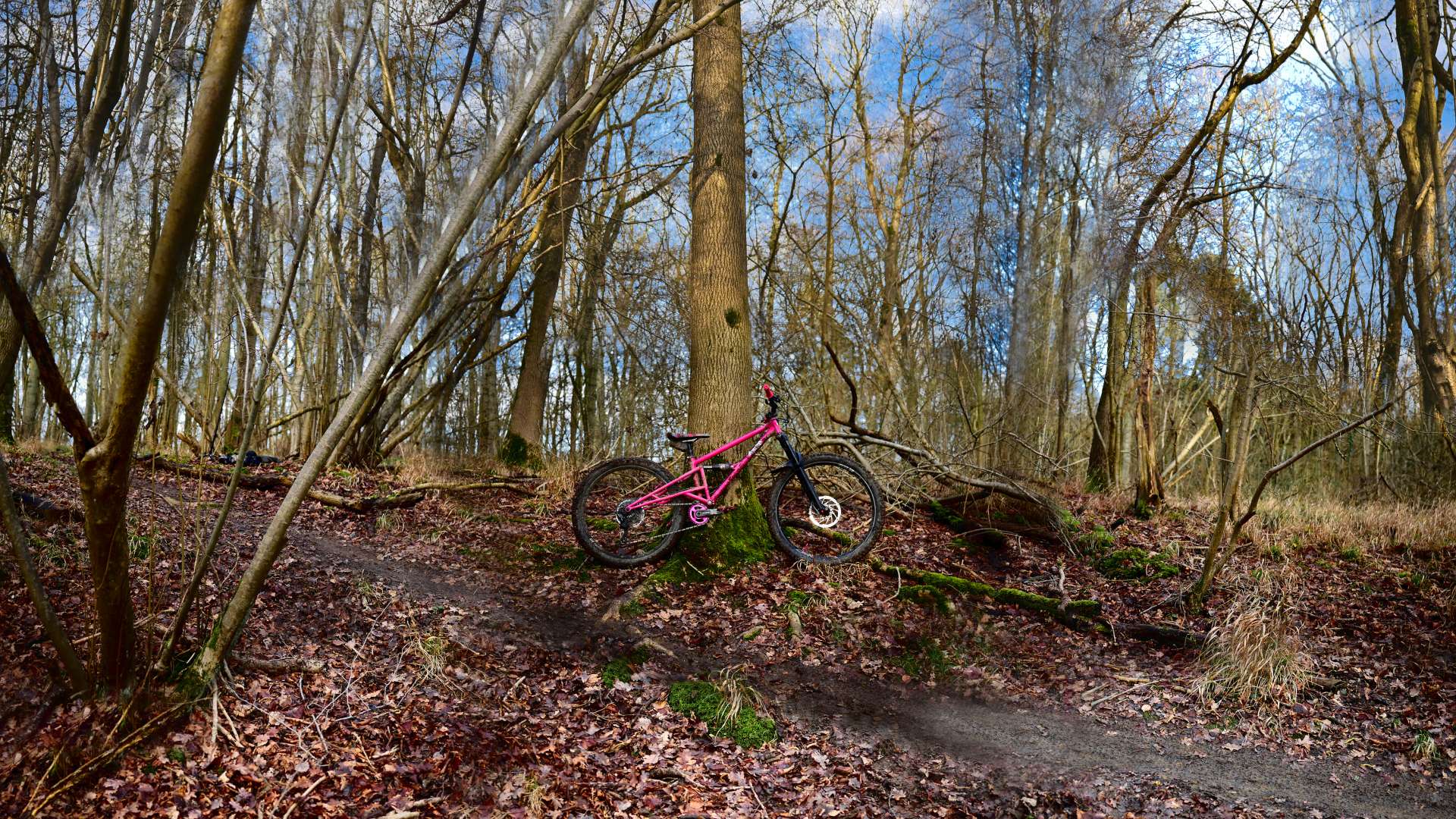 2026 01 24 003 Wakerley Dodgy Electric Fun G7 Lumix 20 Takumar 18 4K_06.jpg