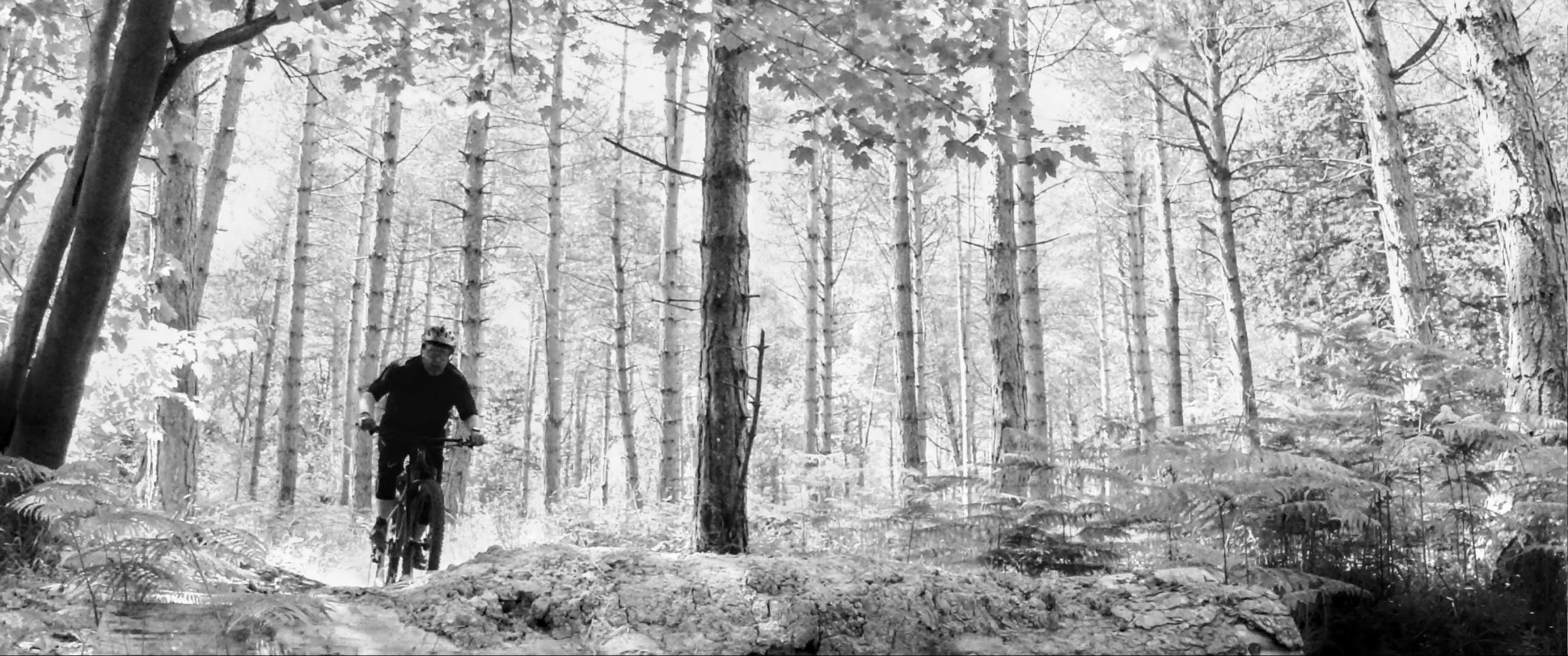 2025 06 14 023 Wakerley Natural Noise Nurtures Insta360 One RS Leica 4K_03.jpg