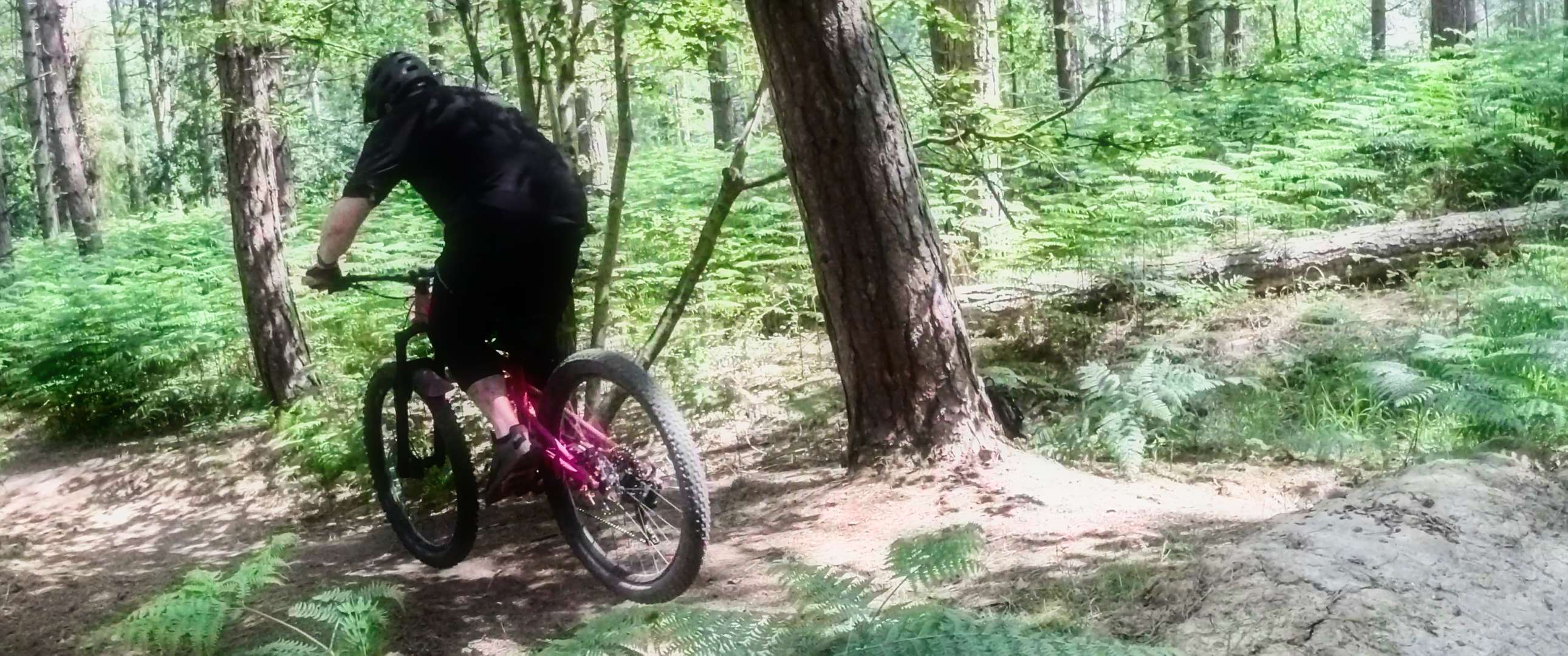 2025 06 14 023 Wakerley Natural Noise Nurtures Insta360 One RS Leica 4K_00.jpg