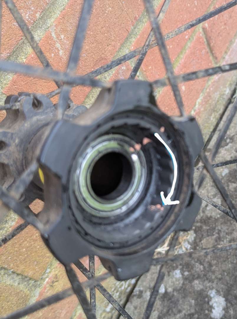 PXL_20250430_174523497.MP~3 (1).jpg