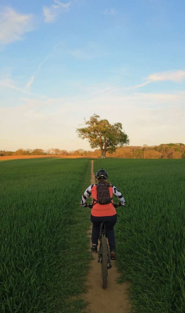 Screenshot_20250429_211815_Video Player.jpg