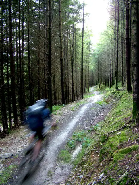 Special-Stage-Singletrack