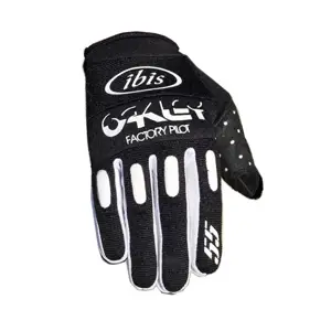 Gloves300
