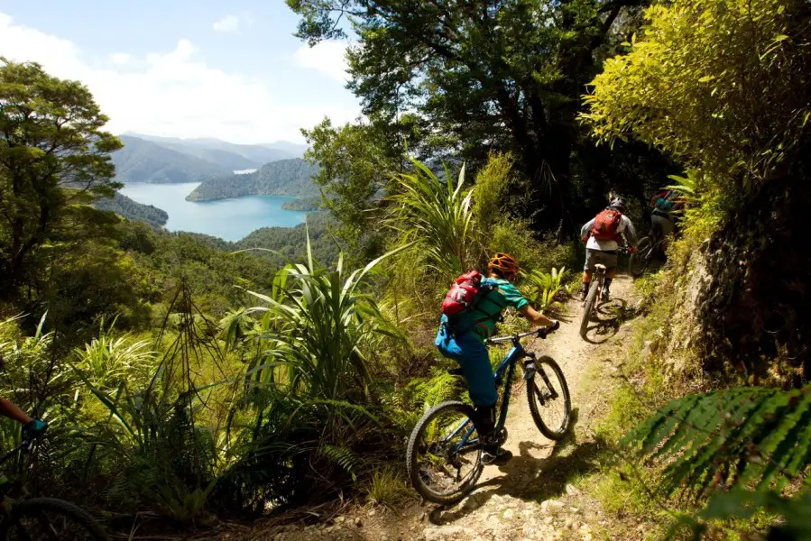 Nydia Bay Track overlooking the Pelorus Sound