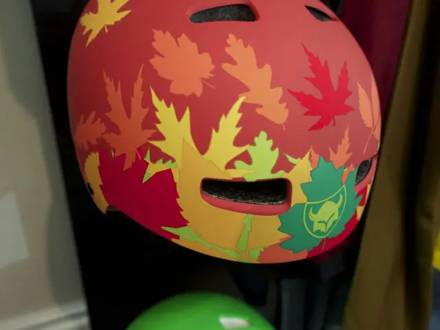 Autumn themed TSG helmet