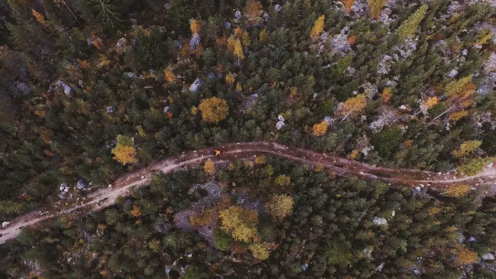 kona unit singlespeed bikepacking finland camping adventure trees 