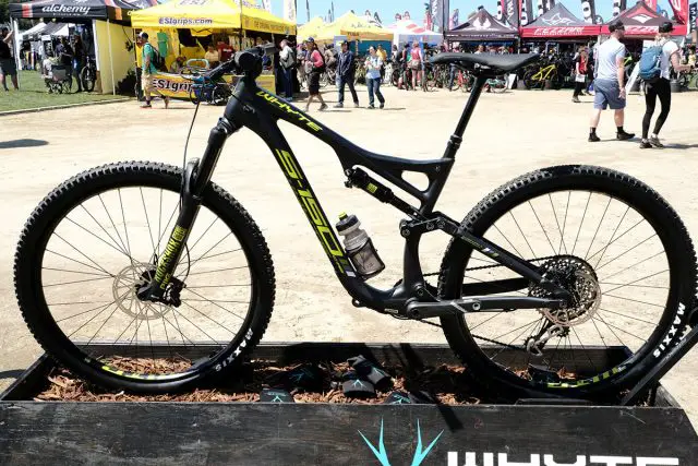 seaotter2017-_whyte012
