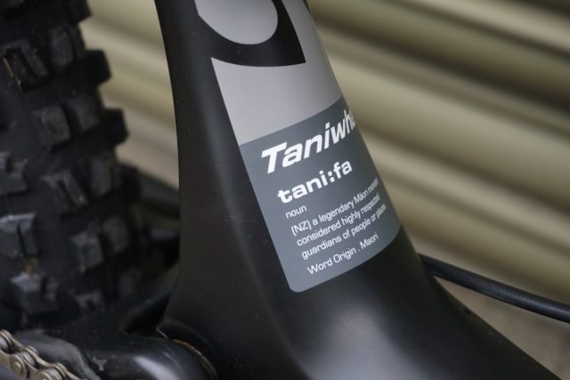 zerode taniwha pinion gearbox 
