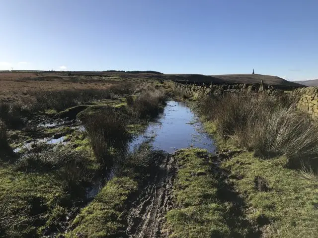 puddle wet pond