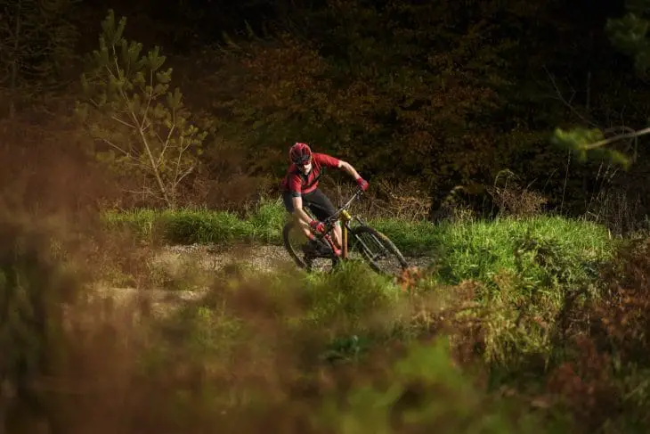 specialized epic expert wil dalby forest