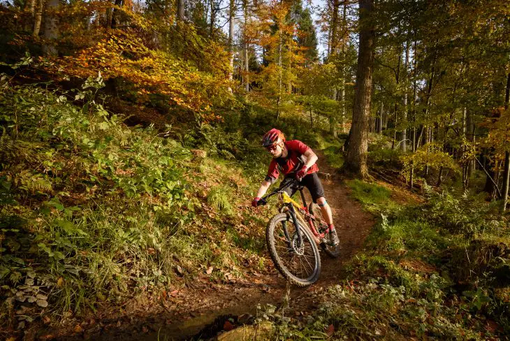 hutchinson taipan tyre wil specialized epic dalby