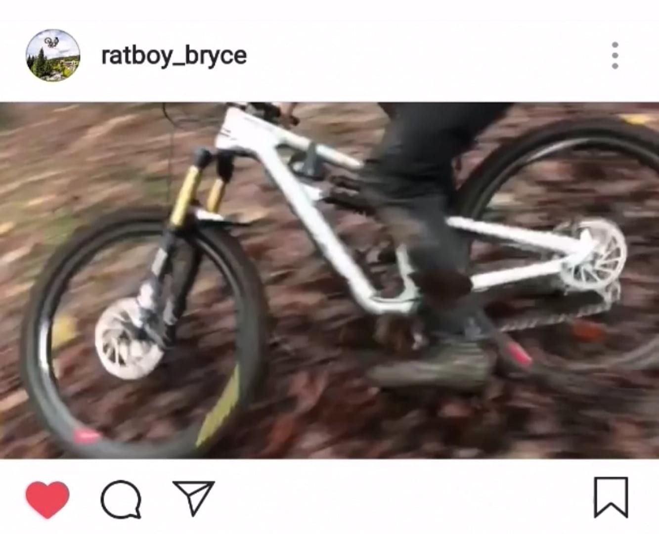 rat boy cannondale