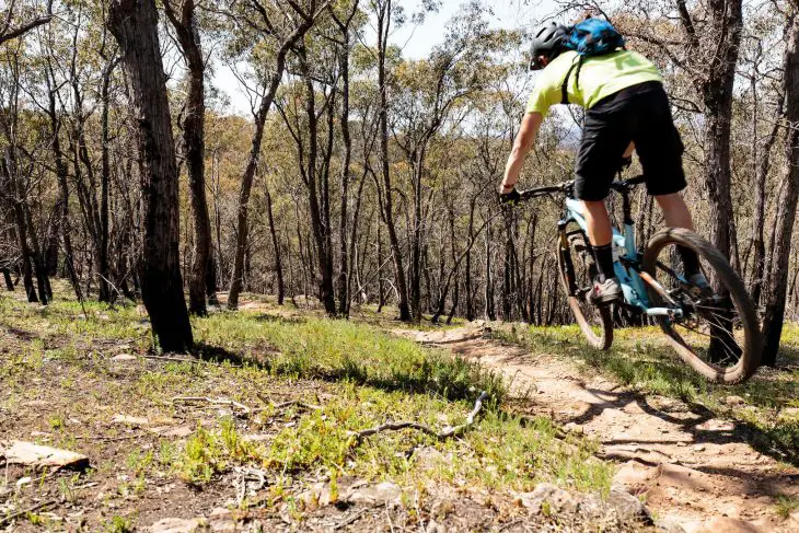 bendigo australia mountain biking