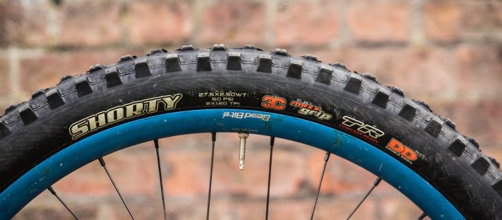 maxxis shorty doubledefence