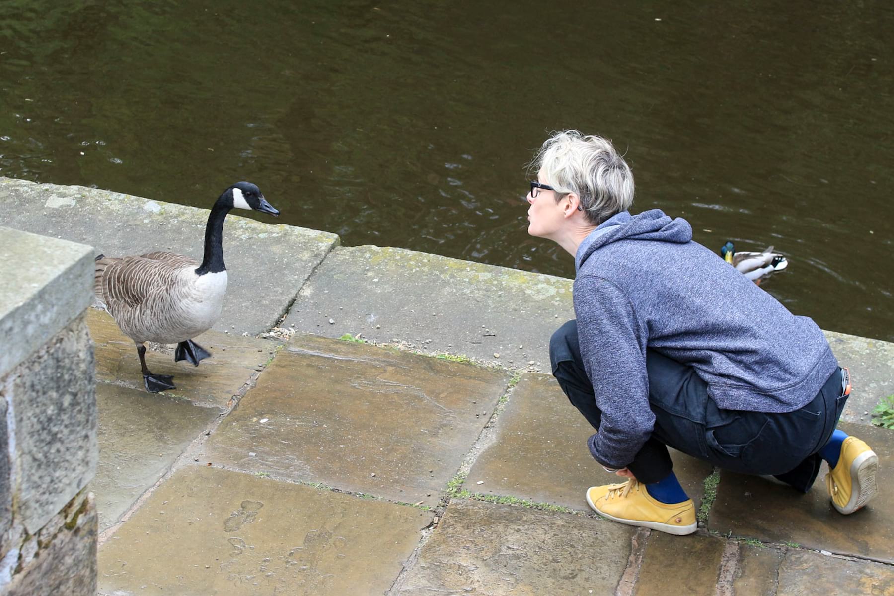 Hannah kissing a goose