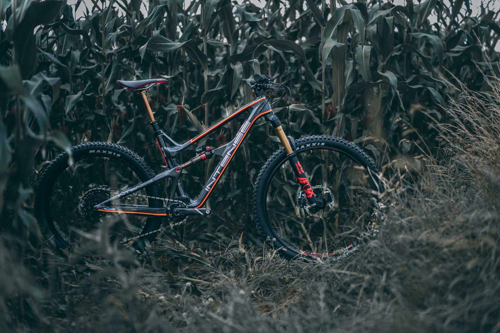 mtbr intense