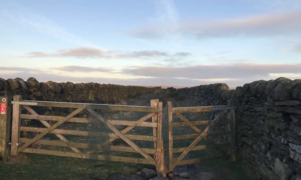 bad gate