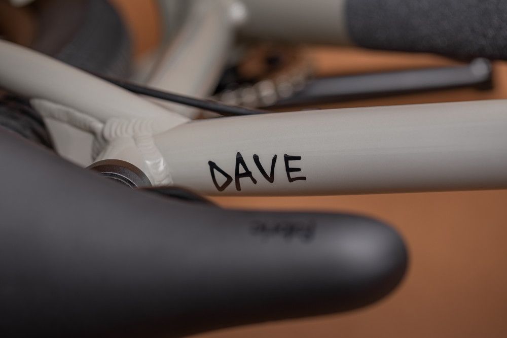 Cannondale DAVE