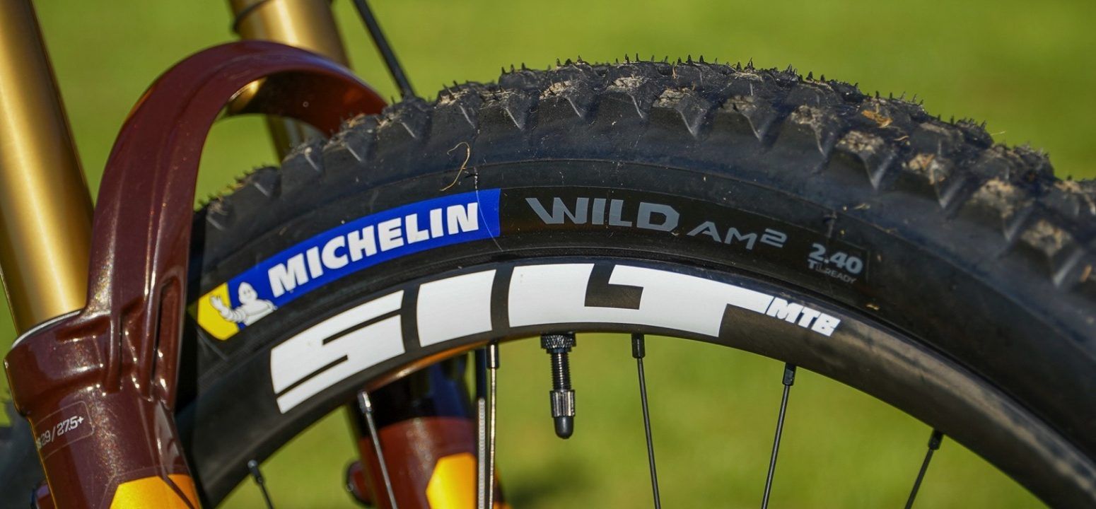 michelin wild am review