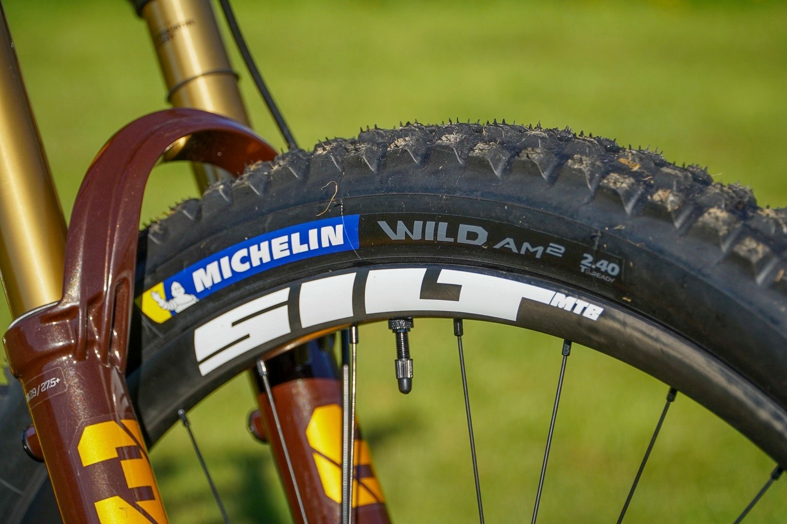 michelin wild am review