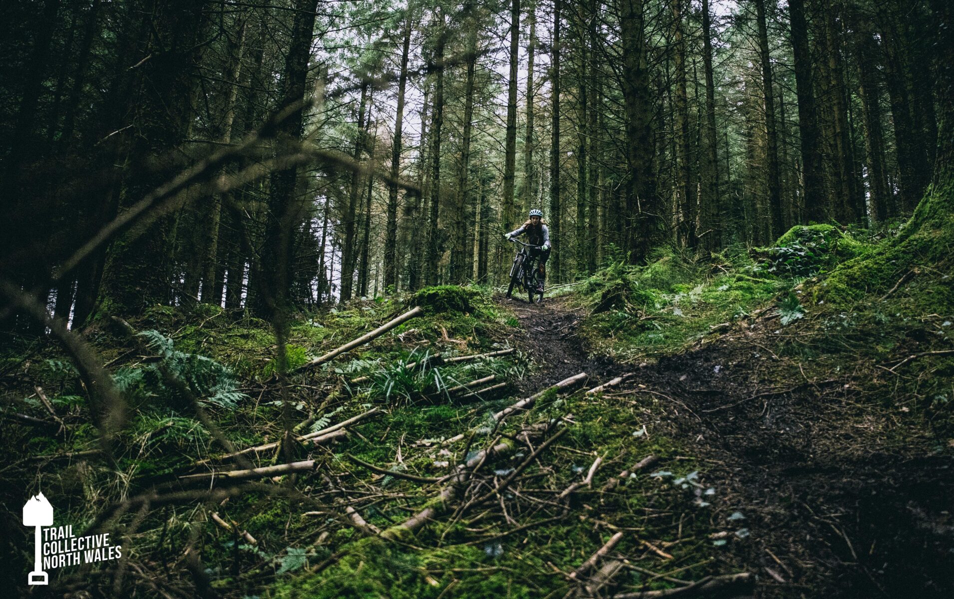 Trail Collective North Wales