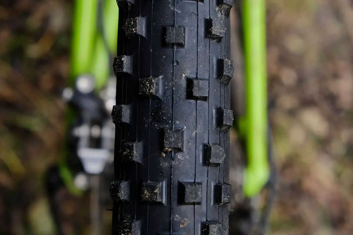 best mountain bike mud tyres