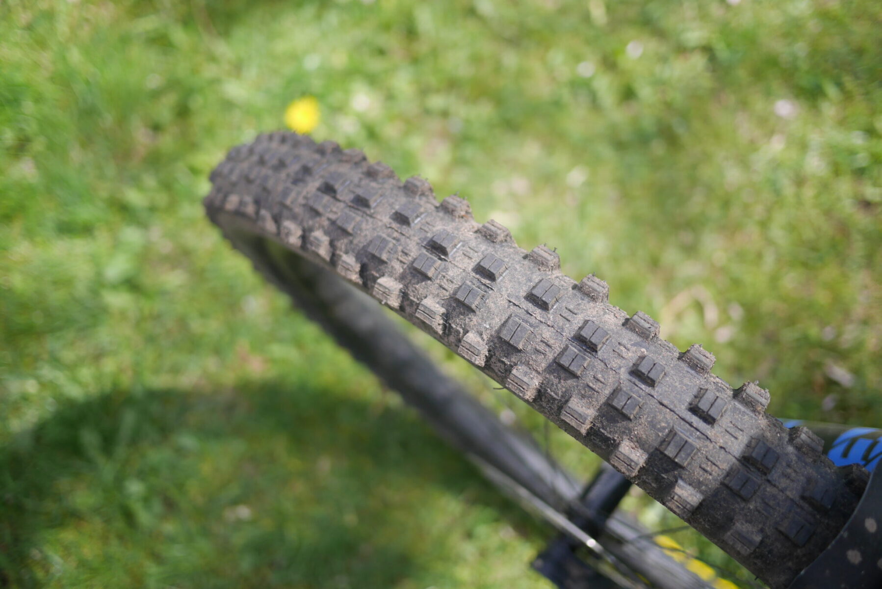 Best Mountain Bike Mud Tyres