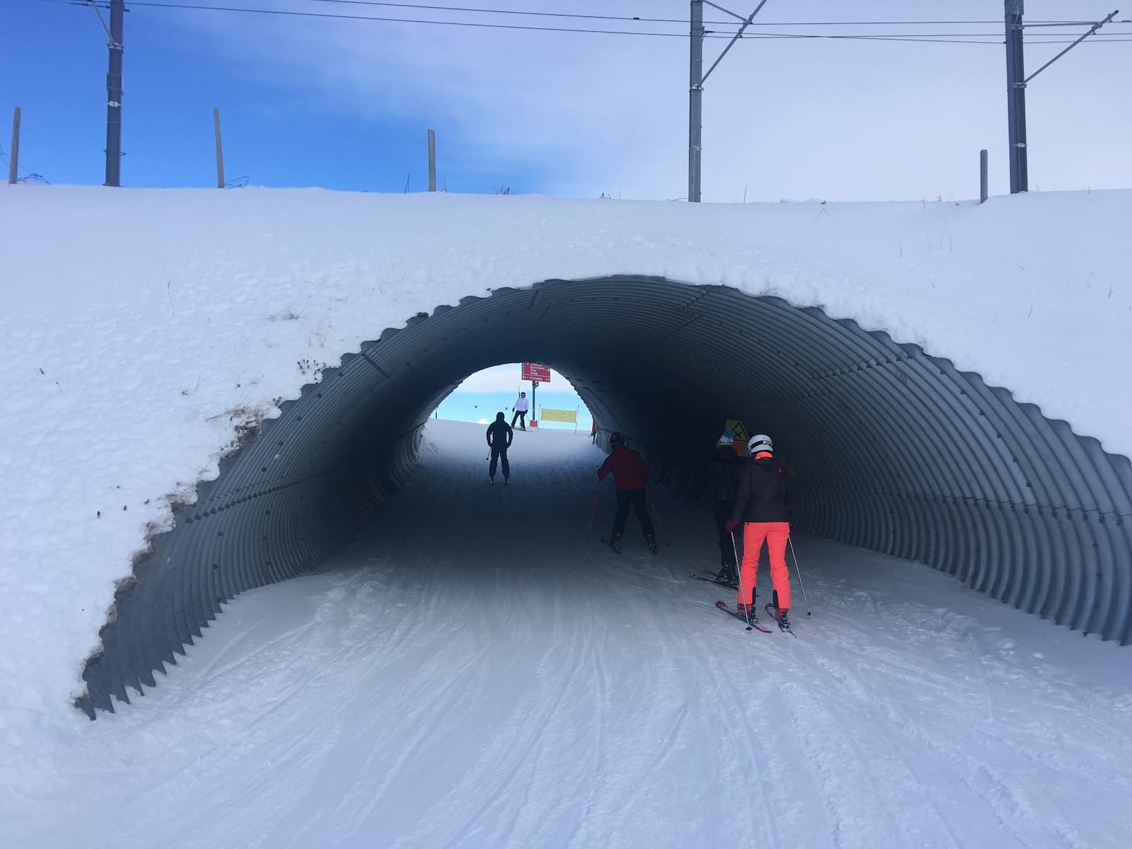 wengen resort guide singletrack snow