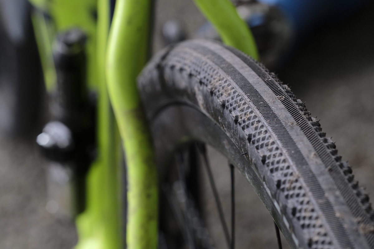 whyte friston review