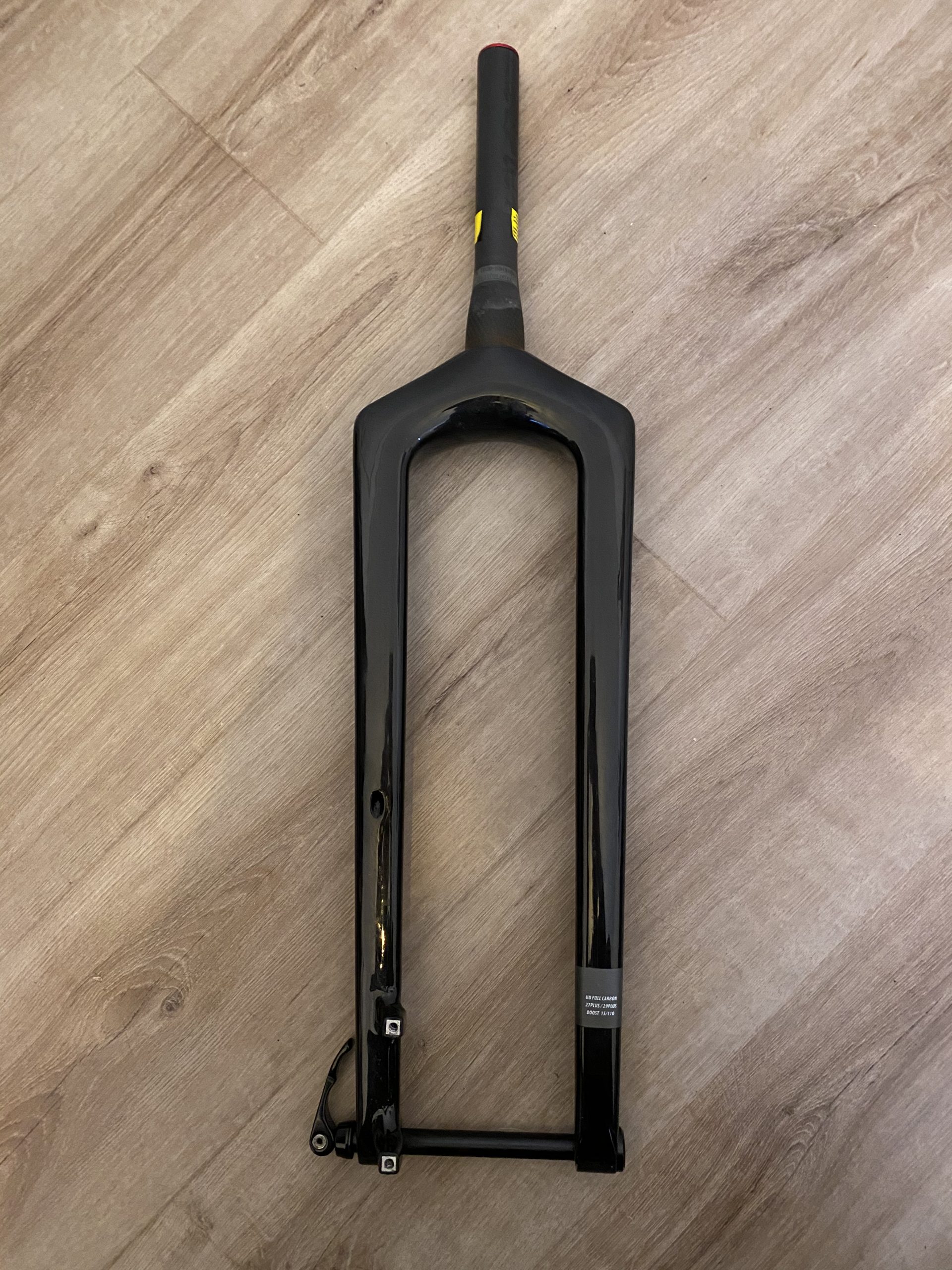 kinesis maxlight carbon fork