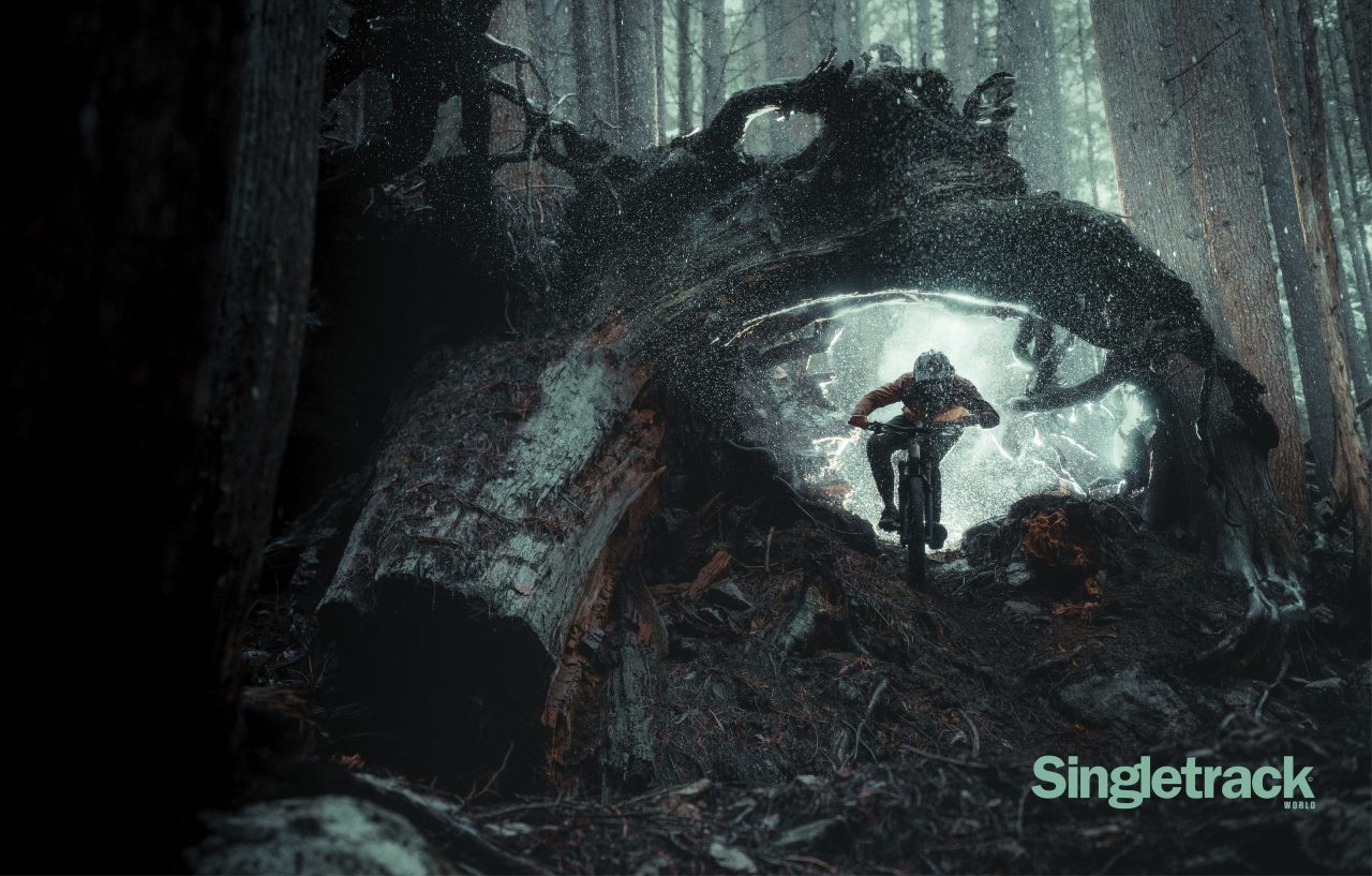 A mountain biker riding through a forest near a large fallen tree, with light filtering through the mist and debris.