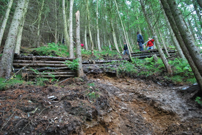 Spectator Dies At Llangollen DH Race