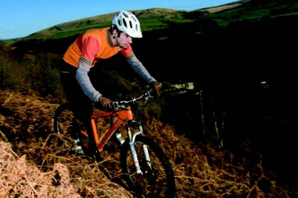 Santa Cruz Chameleon