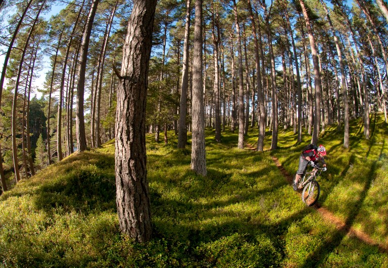 Scotland’s (Liquid) Gold…