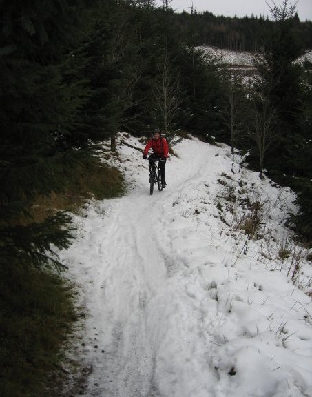 New Year + New Plans