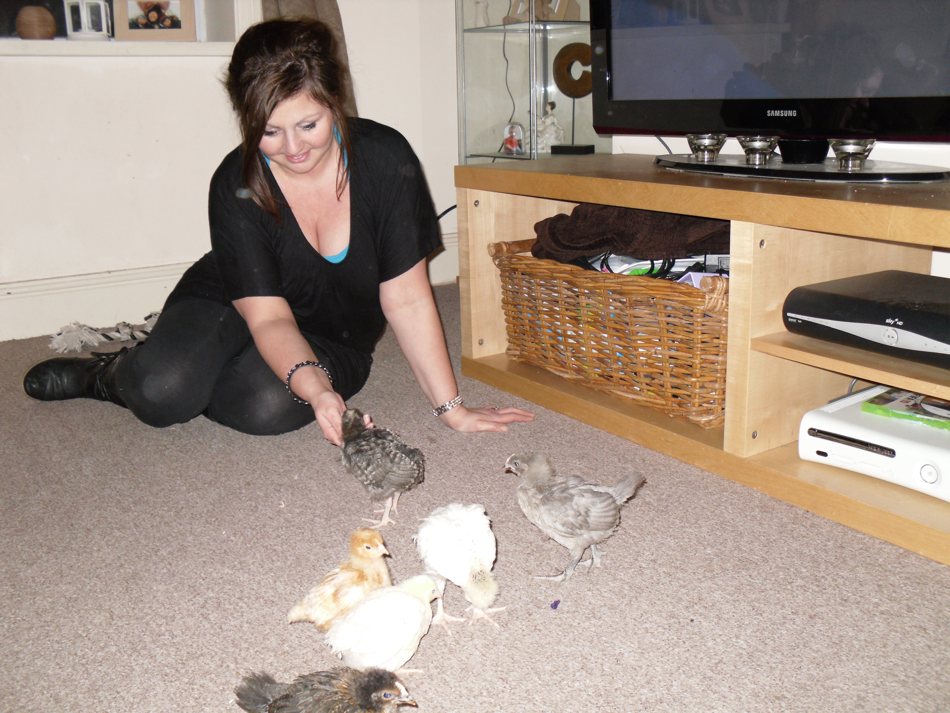 No longer a spring chicken