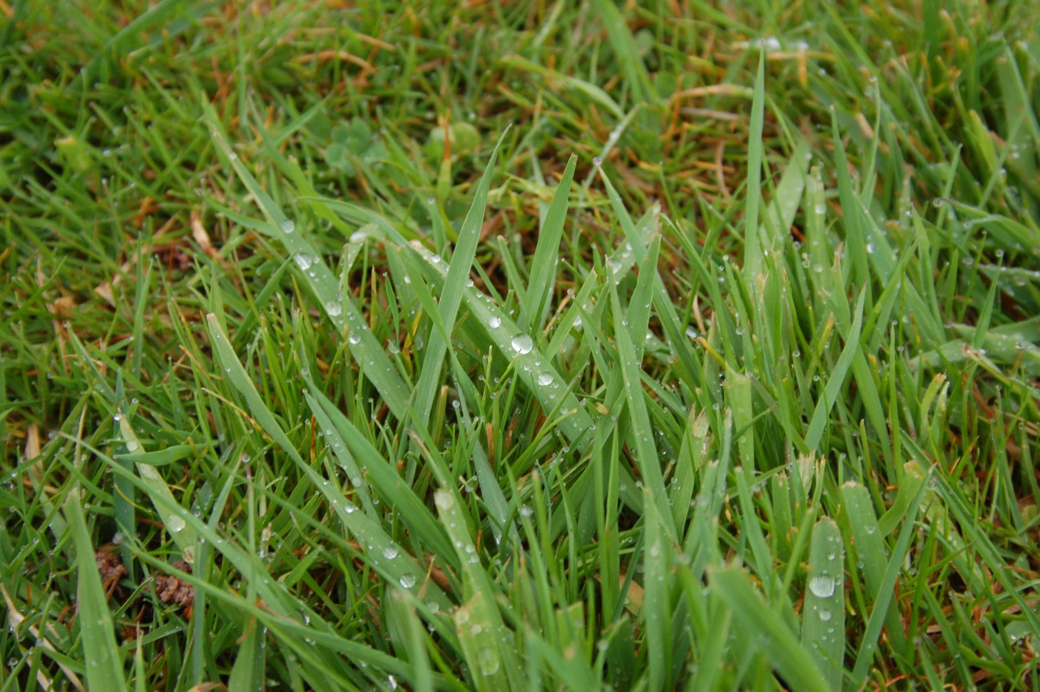 rim brakes are scared of this