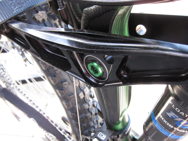 Sea Otter: Ellsworth