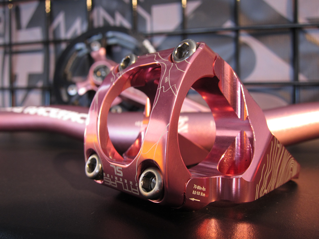 Sea Otter: Race Face