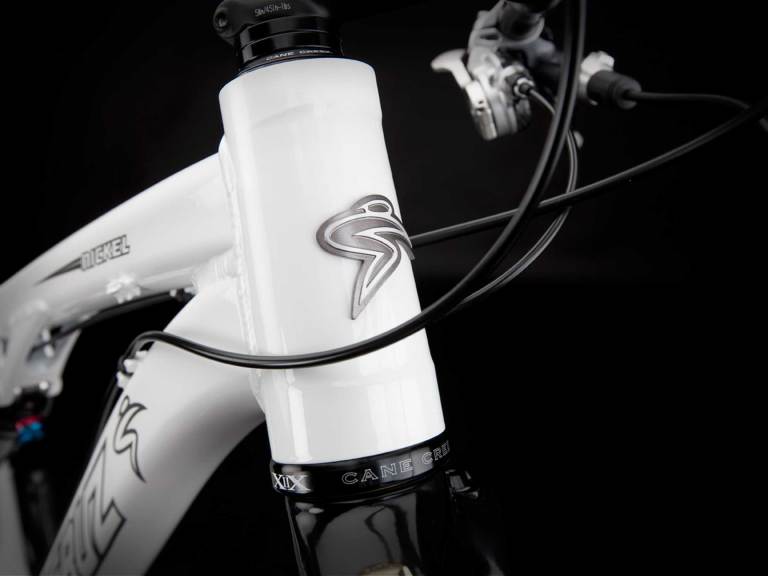 NEW! Santa Cruz Nickel