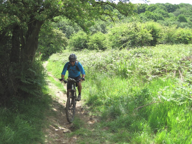 Internet Armchair Feature: Polaris Challenge