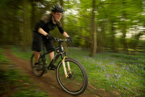 The Cheddar Adventure