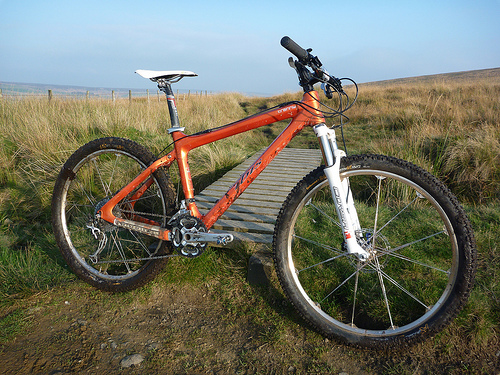 Long Termers: Ed’s Ibis Tranny